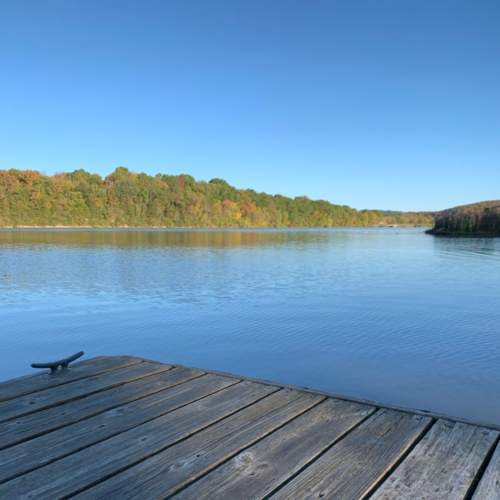 Meet your Posher, Paige